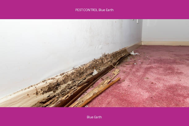 PEST CONTROL Blue Earth